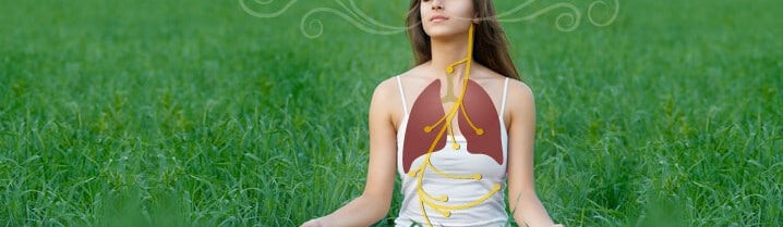 Tesla metamorfoza z zdravilko Anjo Petrović