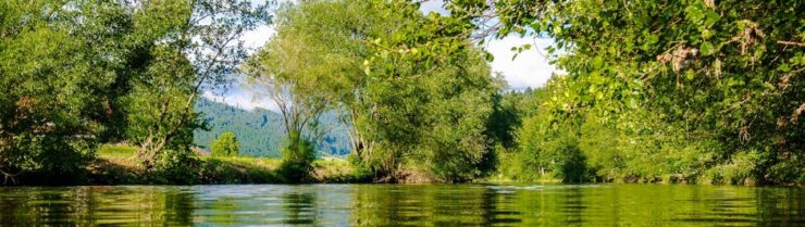 Vajšnavski kamp ob Kolpi